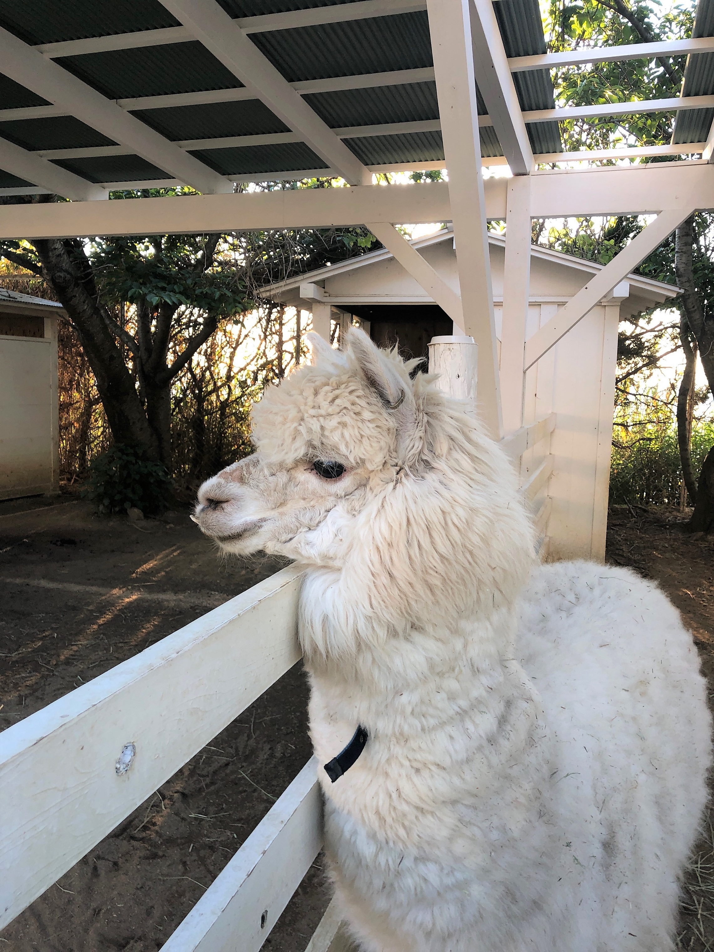 ｇｗ終わりました W ノ