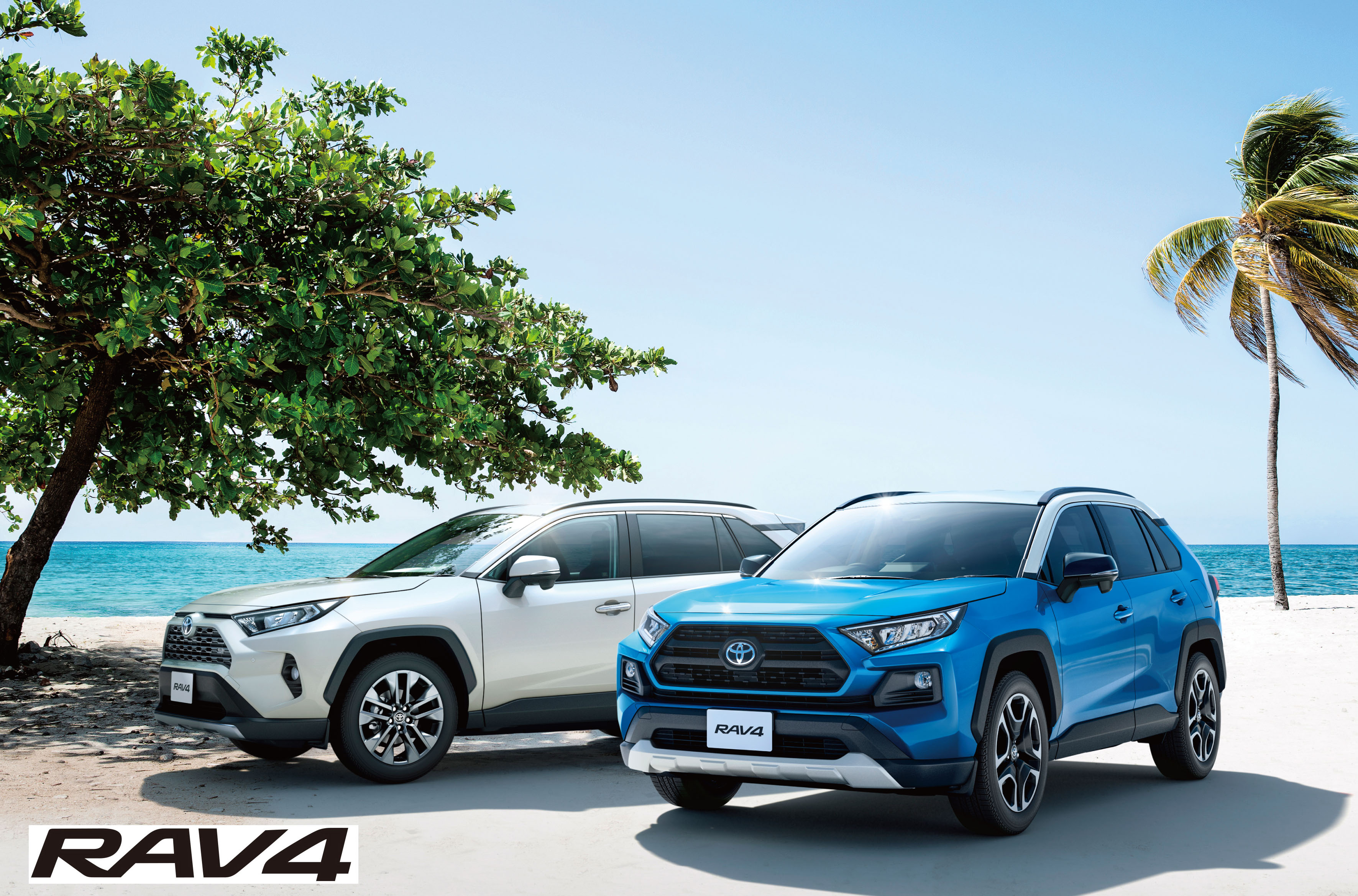RAV4 ビーチ