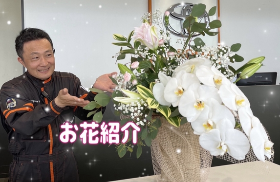 今月のお花🌷