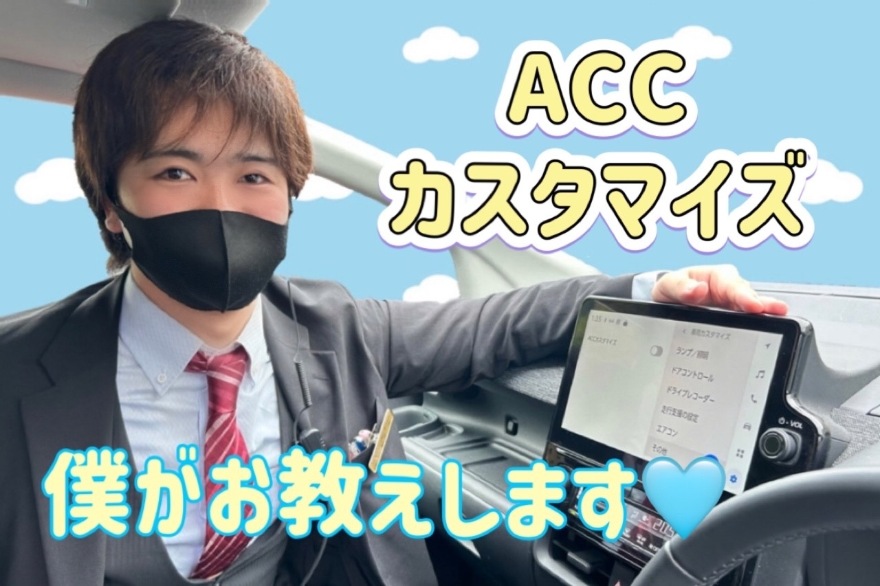 ACCカスタマイズ　設定方法　使い方