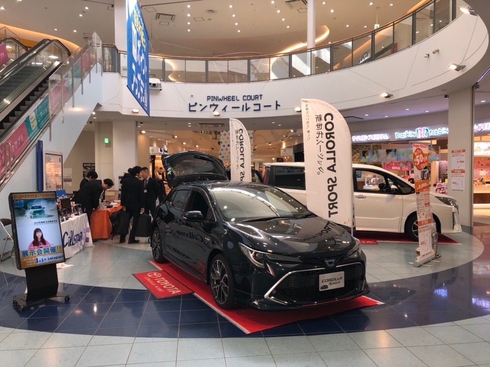 本日から移動展示会です